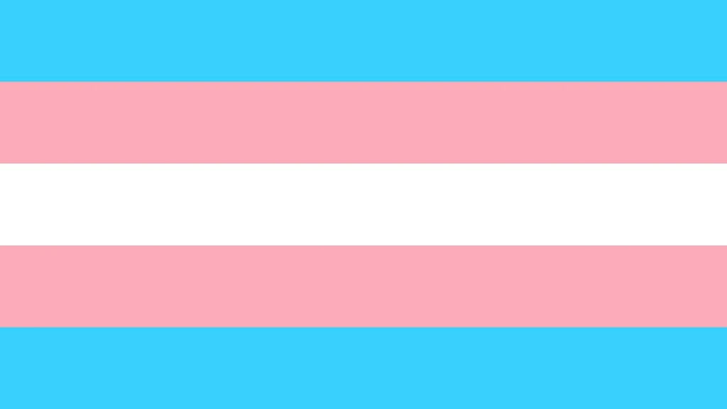 bandera transgénero